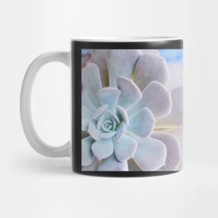 Echeveria Mug